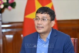 越南与世界经济论坛国家战略对话：加强公私伙伴关系