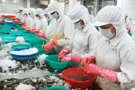 8月上半月越南水产品出口大幅下滑