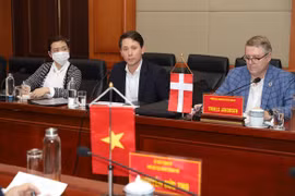 丹麦海上风电开发商Orsted建议对海防市海上风电项目进行研究和考察