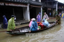 水灾造成中部和西原地区经济损失高达6080亿越盾（图片来源：越通社）