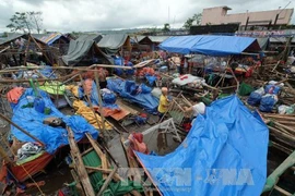 台风“洛坦”​袭击阿尔拜省造成至少3人死亡（图片来源：越通社）