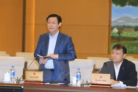 越南政府副总理王庭惠在会议上发表讲话