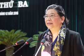 越共中央政治局委员、国会常务副主席丛氏放