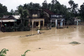 ​暴雨洪水已造成广义省10间房子完全被毁、69间受损及超过1800间被洪水淹没（图片来源：越通社）