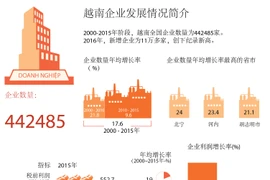 越南企业发展情况简介