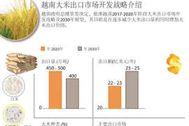 图表新闻：越南大米出口市场开发战略介绍