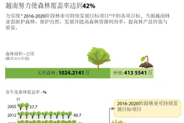 越南努力使森林覆盖率达到42%