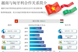 越南与匈牙利合作关系简介 