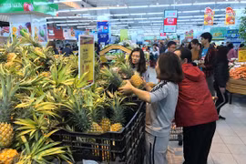 国际市场波动，越南出口目标能否实现？