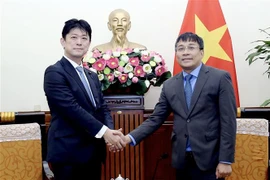 越南外交部副部长与日本外务副大臣举行会谈