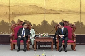 岘港市促进与中国山东省的合作