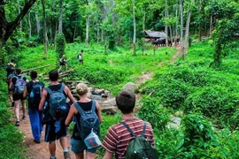 唤醒森林生态旅游潜力