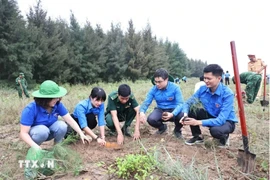 越通社青年响应越南10亿棵树种植活动