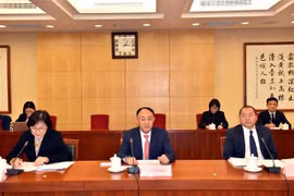 促进越南国会与中国全国人大各机构间有效务实的合作