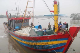 太平省渔民决心解除欧盟委员会的IUU“黄牌”警告
