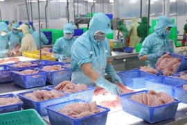 越南水产品出口活动见起色