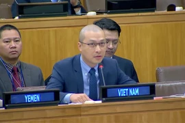 越南呼吁加强妇女安全保障及其在联合国维和行动中的作用