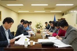 越南外交部副部长黎氏秋恒：越日关系处于历史最好时期