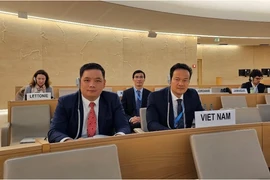 越南呼吁促进性别平等