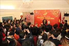 2024年甲辰年春节：旅英越南人共迎新春佳节