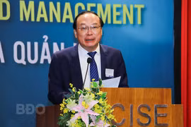 关于环境污染、环境修复和管理的国际会议在平定省归仁市举行