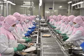越南虾类出口升温