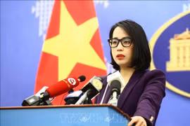 越南外交部就14名偷渡客躲在冷藏集装箱中抵达爱尔兰 有3名越南人答记者问