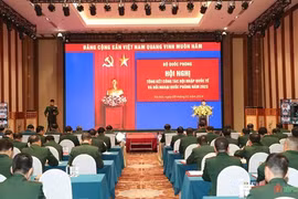 越南国防对外工作取得许多重要成果