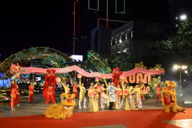 胡志明市2024年甲辰龙年春节阮惠花街拉开序幕