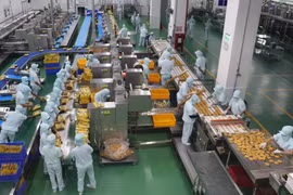 阿根廷农业生物经济部长：越南是阿根廷在东盟最重要的市场