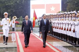越南国家主席武文赏与印尼总统佐科·维多多举行会谈