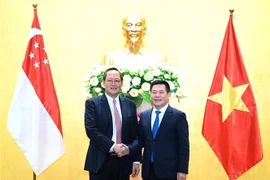 越南与新加坡扩大经贸和能源合作
