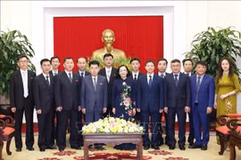 越共中央书记处常务书记张氏梅会见朝鲜劳动党代表团