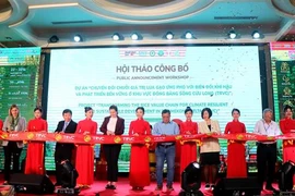 澳大利亚资助九龙江三角洲稻米价值链转型