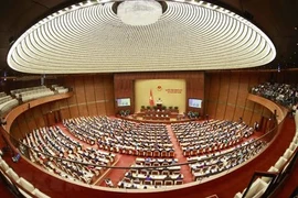 越南国会常委会第三十次会议就两项法案建言献策