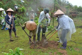 越南谅山省：居民履行村规民约 致力于森林保护工作 