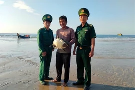 巴地头顿省将一只玳瑁放归大海