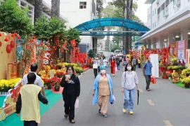 医院内的花路，为患者带来春色