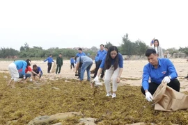 越南青年代表团参加联合国经社理事会青年论坛