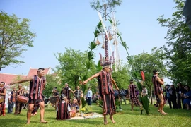 清化省芒族同胞春节竖迎春竿