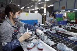 越南政府总理范明政：力争2024年实现6.5%的增长目标