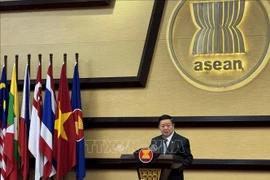 东盟-美国国际开发署合作给人民带来诸多好处
