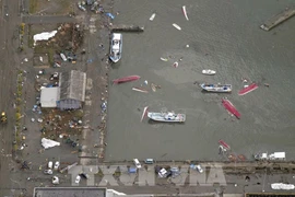 日本大地震：越南驻日本大使馆同各工会配合向在石川县越南劳工提供援助