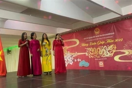 2024年迎新春活动在莫桑比克举行