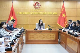 越南外交部副部长：新形势下动员和调动海外越南侨胞的资源
