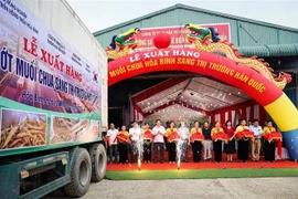 越南和平省对韩国出口7.5吨腌酸辣椒