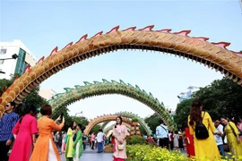 胡志明市2024年甲辰龙年春节阮惠花街接待120万多人次