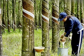 3月份越南橡胶出口额大幅增加