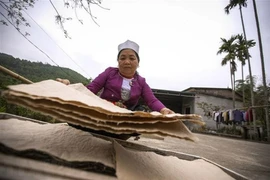 越南和平省芒族人楮纸制造业 承载独特文化内涵 