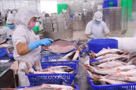 提高出口美国的农产品竞争力